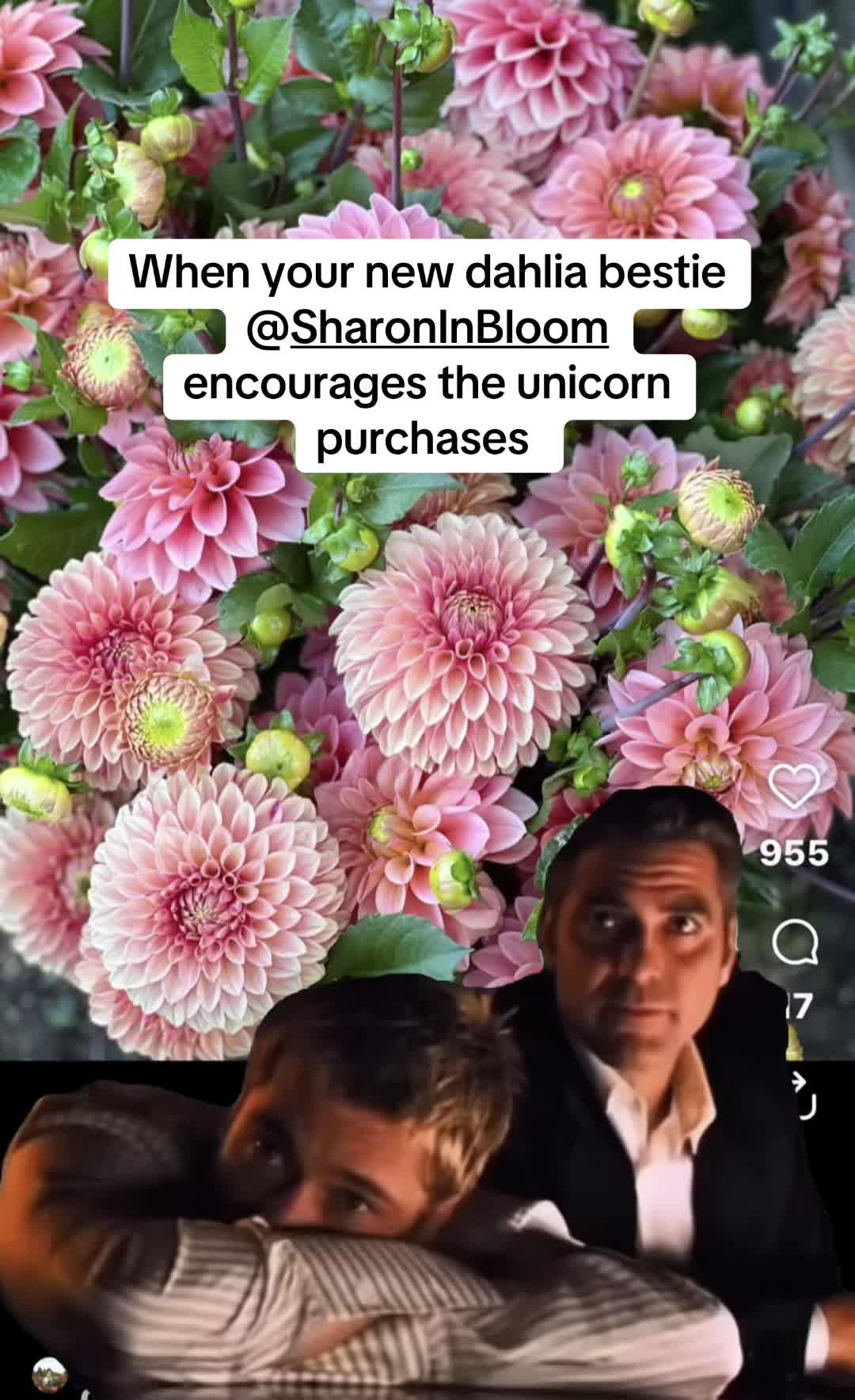 @Rylee&rsquo;s Blooms