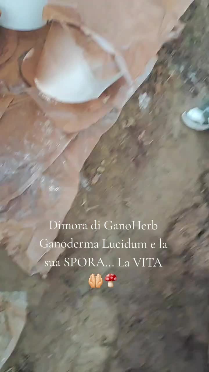 @sonia_chic