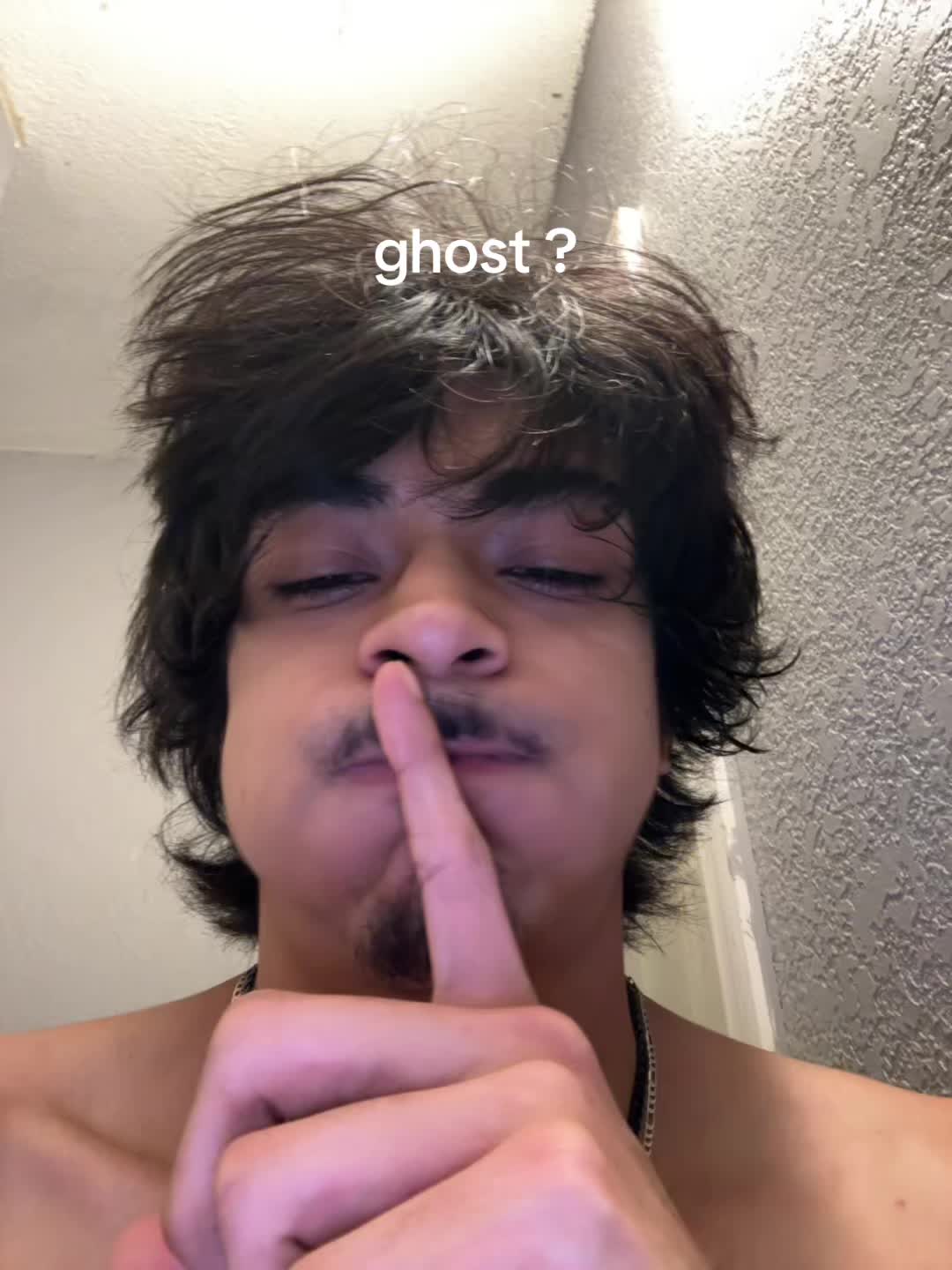 @ant 🐤