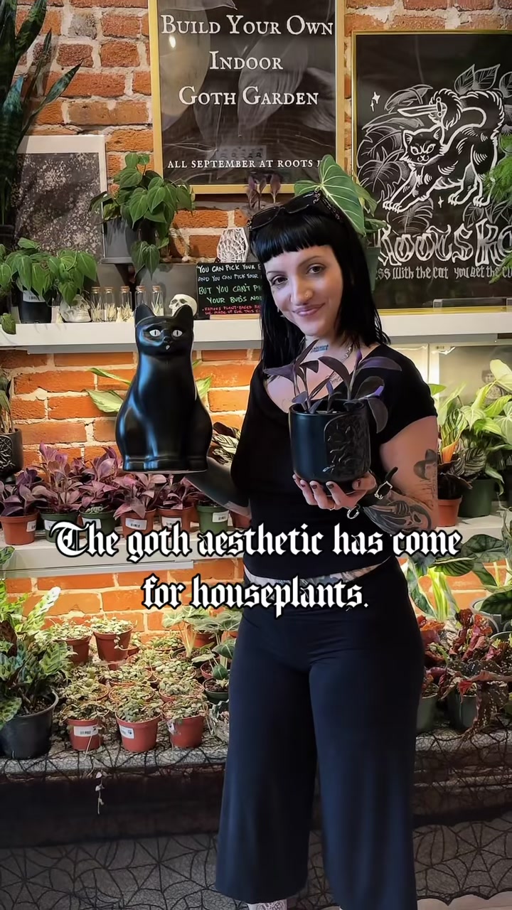 @Rootskc