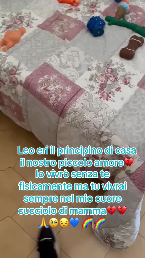 @Carmela Capone