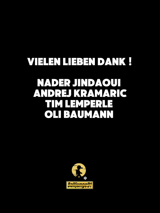 @Balljunge⚽️