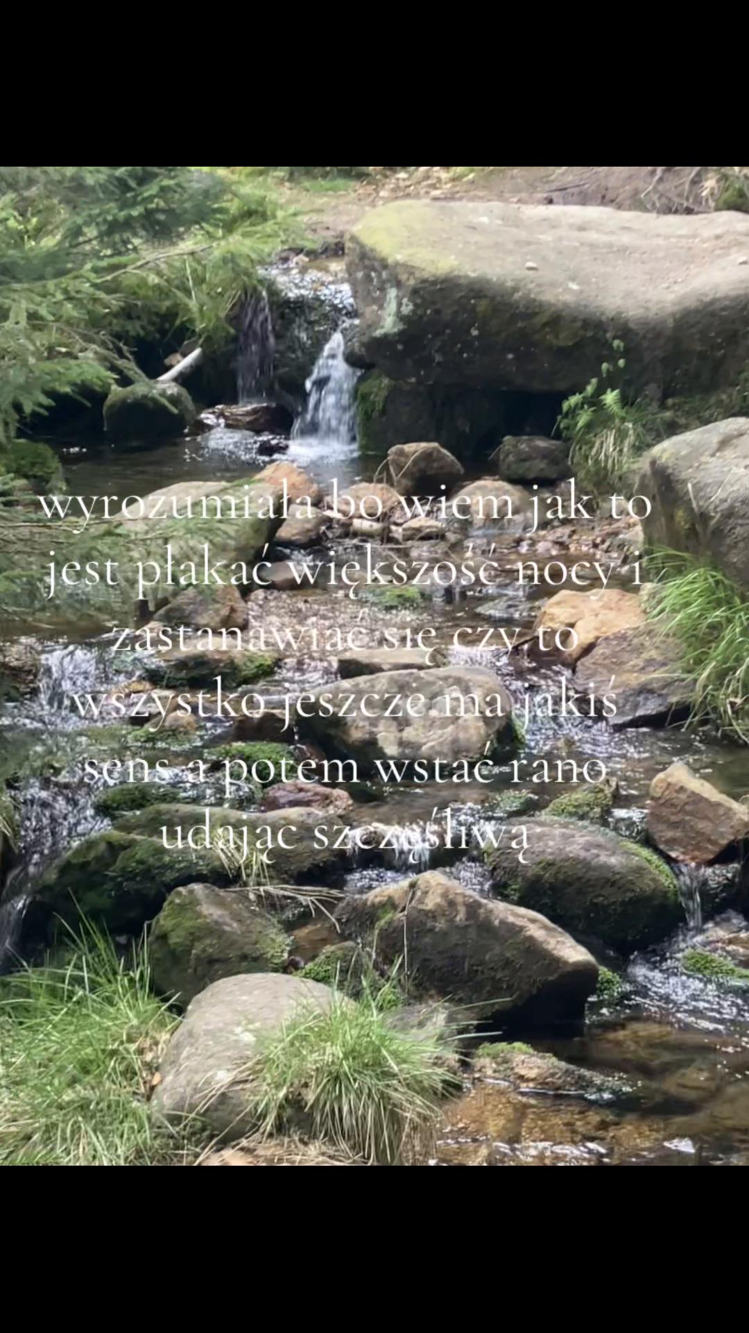 @𝑳𝒊𝒍𝒚 𝑴𝒂𝒍𝒇𝒐𝒚