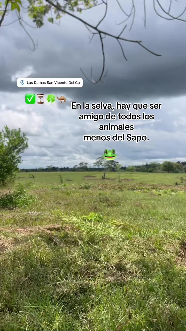 @Stiven Osorio
