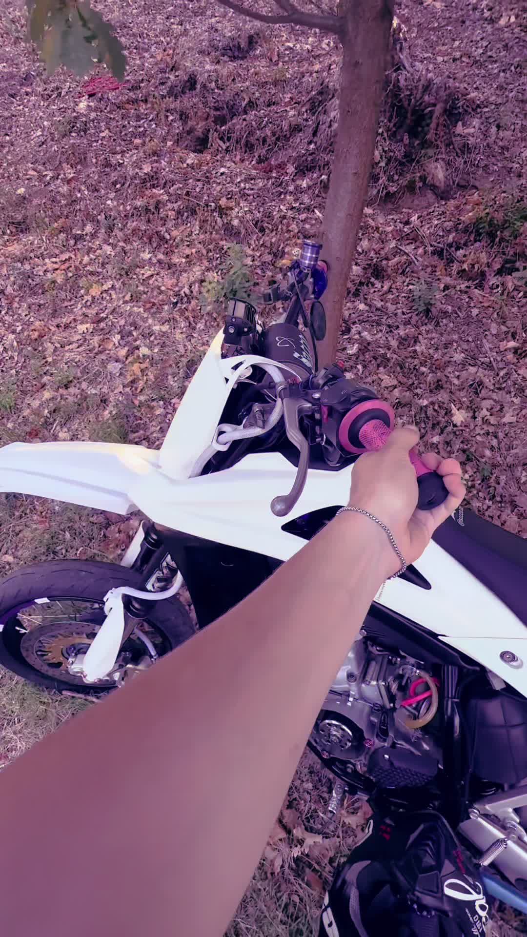 @__sacco_