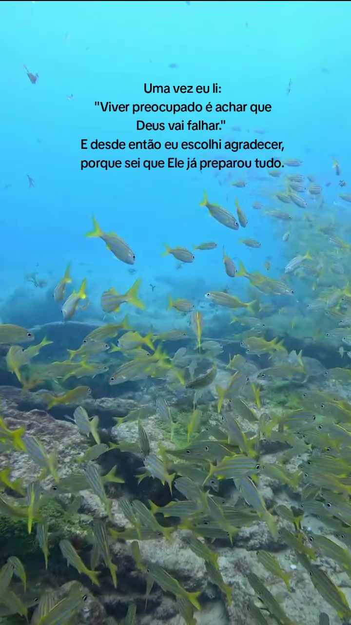 @Texto crist&atilde;o 🤍