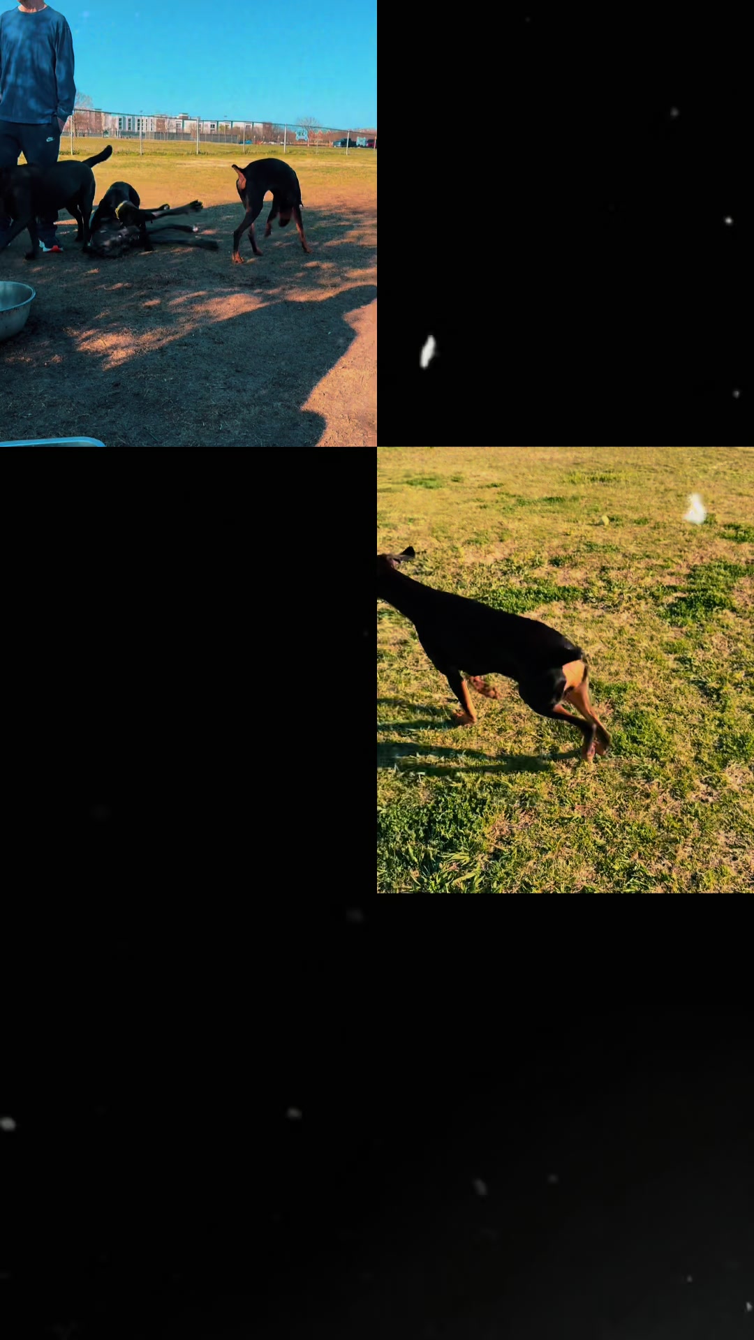 @&phi;&micro;&epsilon;&epsilon;ɳ ѵเ&sigma;ℓ&epsilon;ƭ