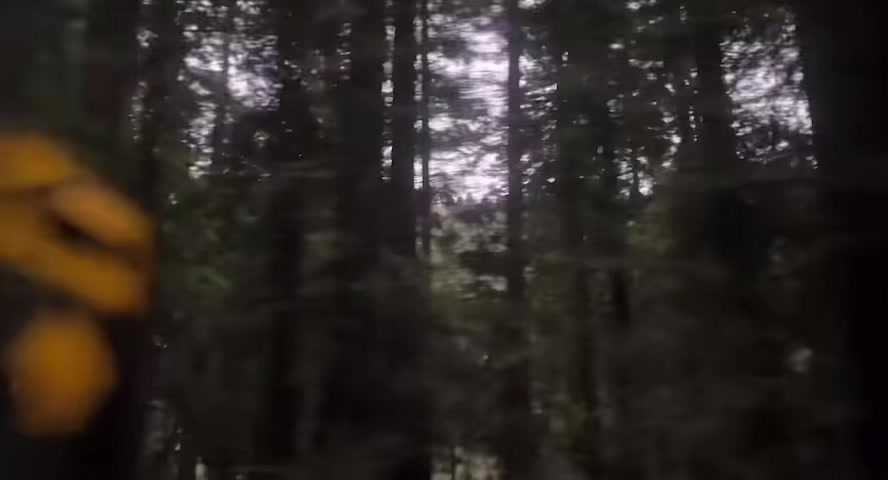 @fruity_pebble_lover69
