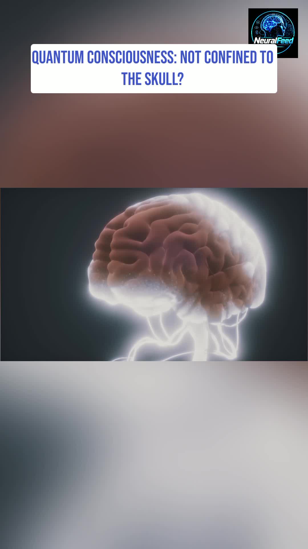 @Neural Feed