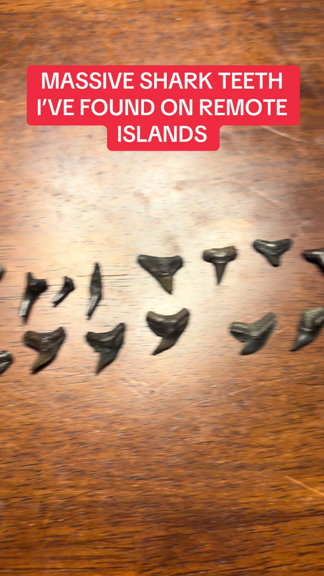 @BeaufortSC_Bait