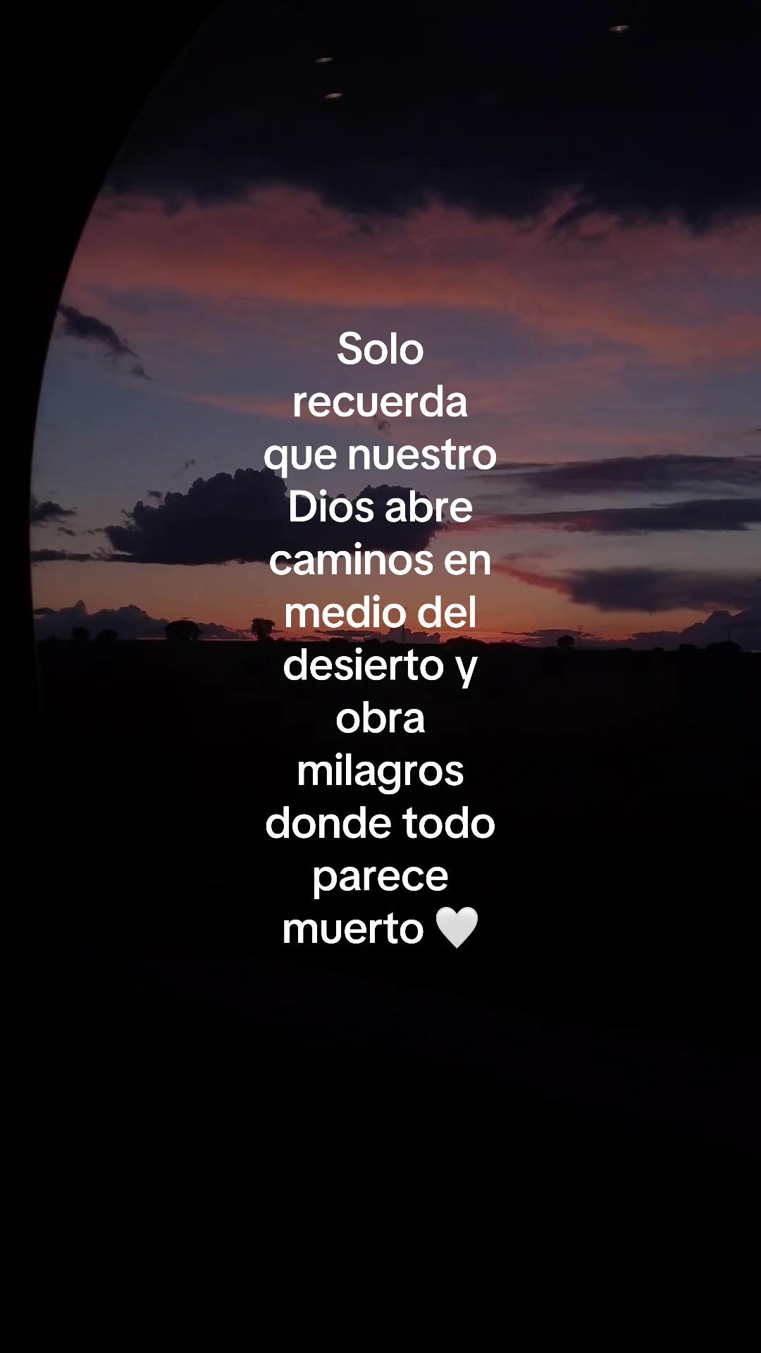 @vidabonita❤️&zwj;🩹