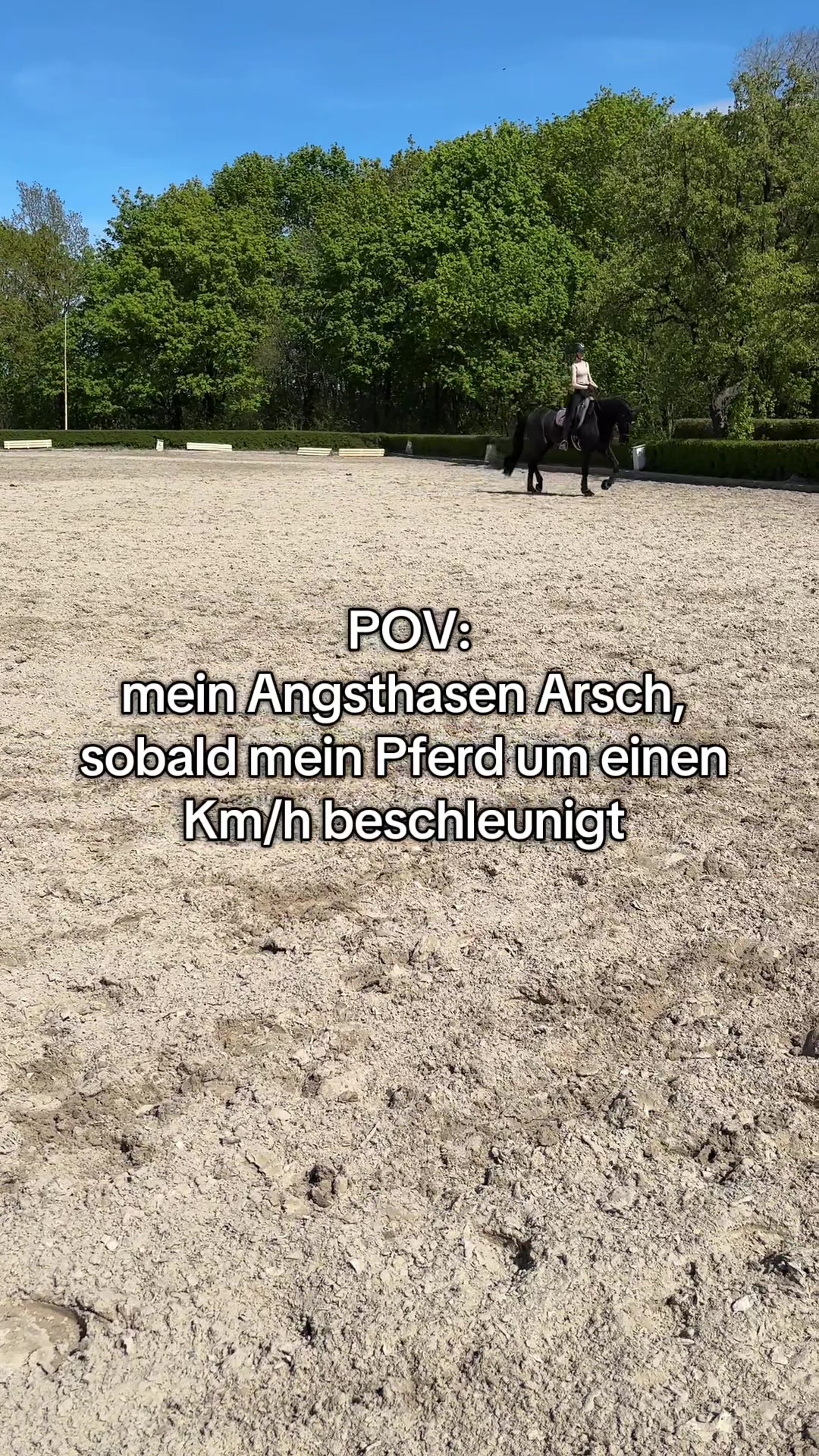@evis.pferdechaos