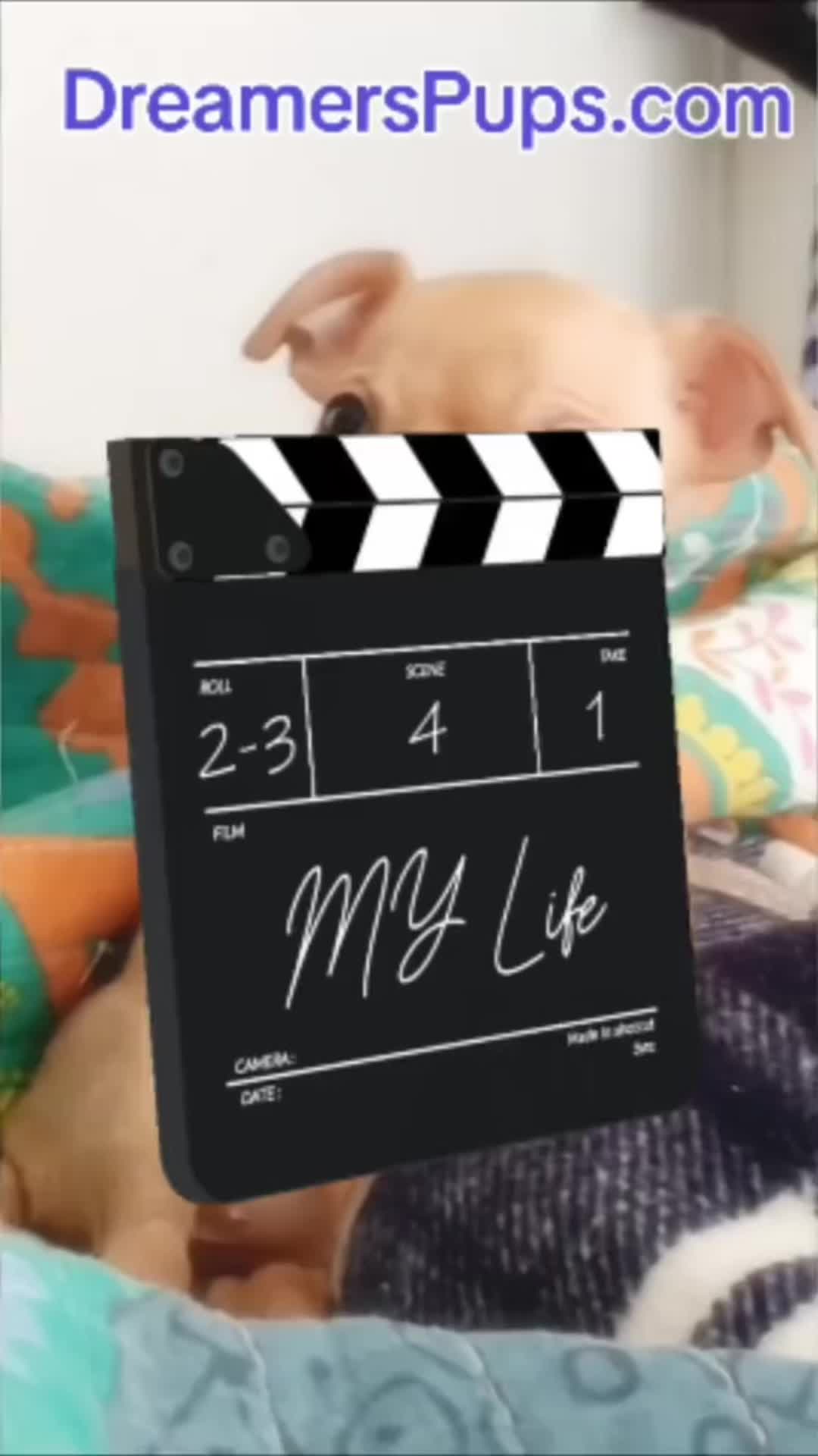 @PuppyMom