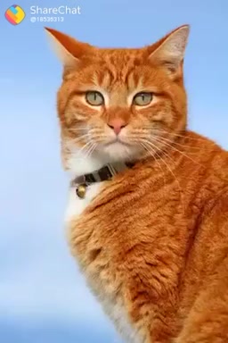 @ranbirbains418
