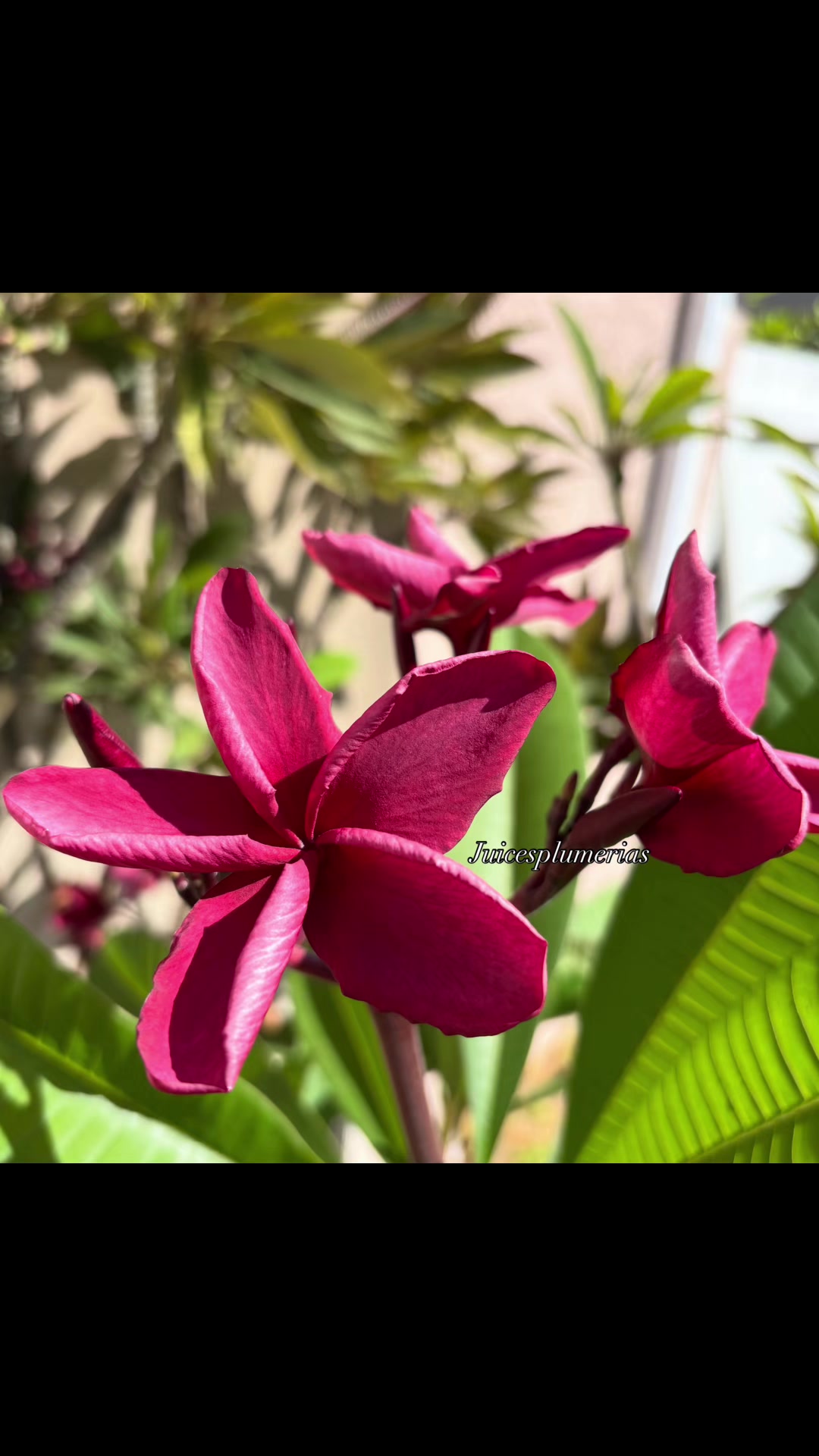 @Josh & Malia