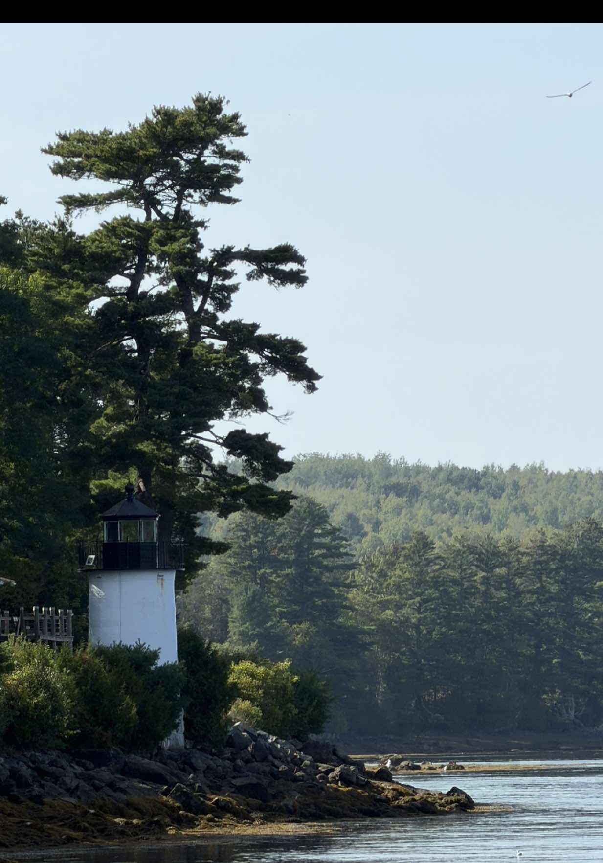 @Downeast Maine