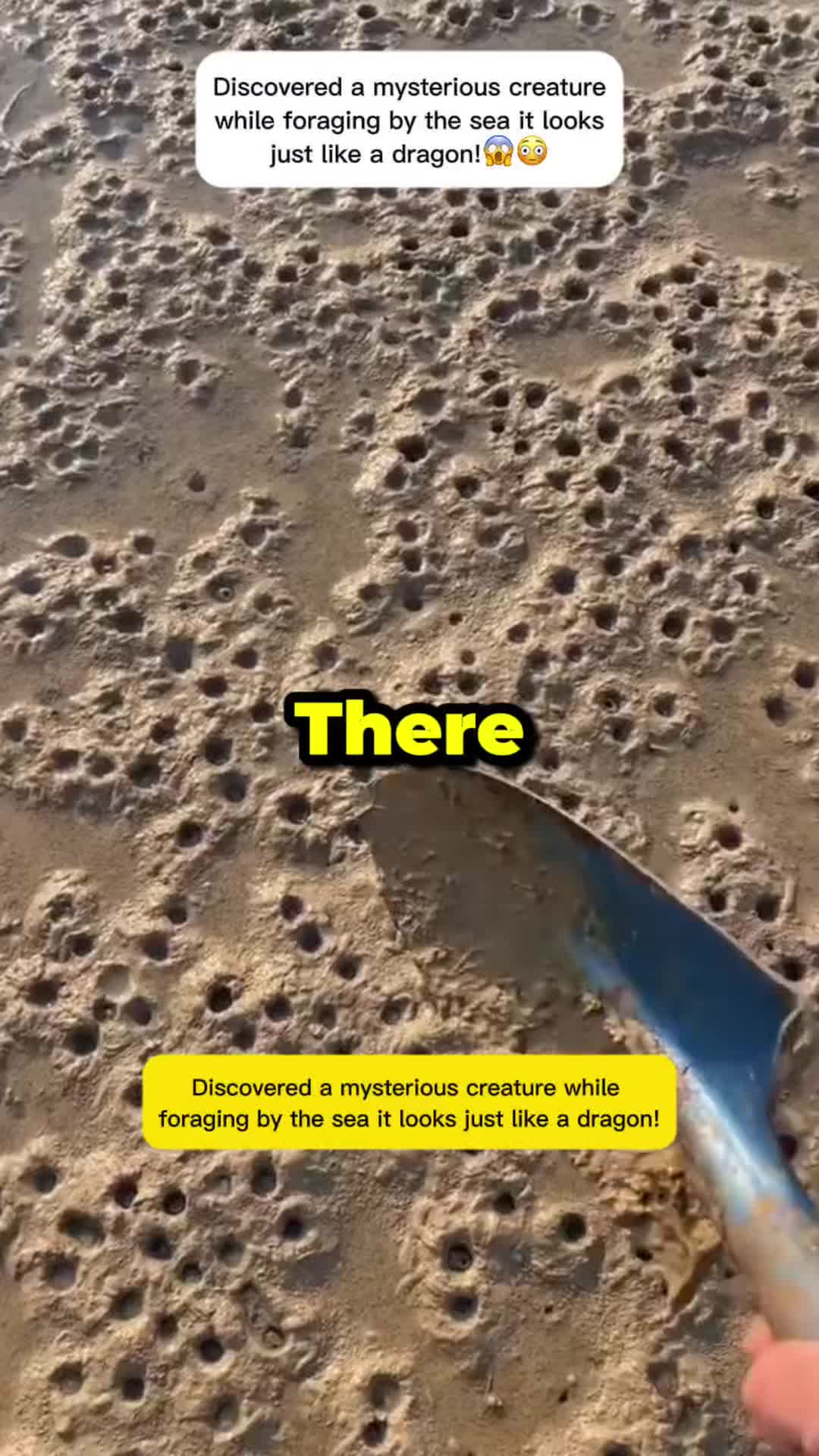 @seafood.vlog