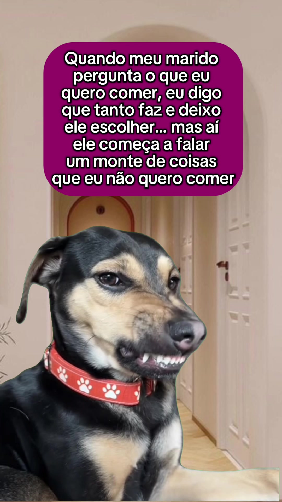 @tababadeira