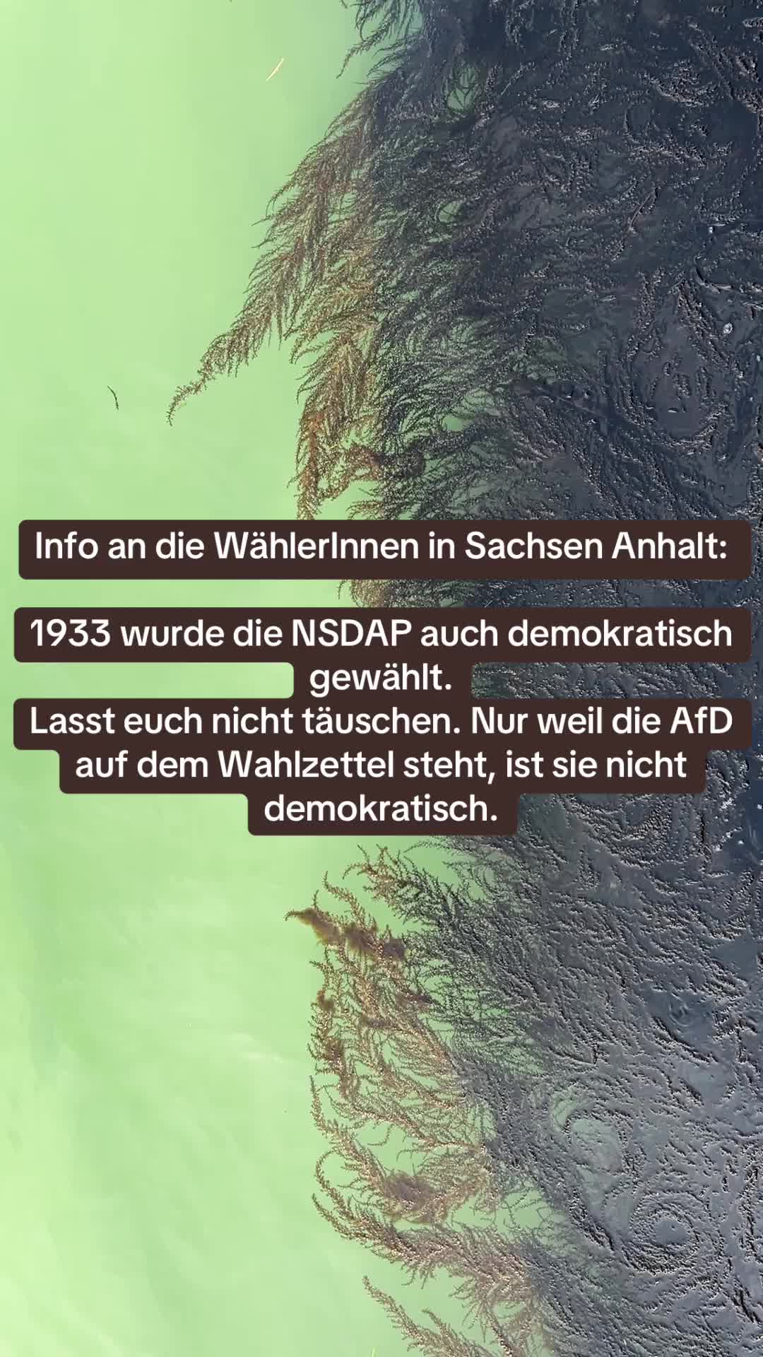 @Contra.AfD