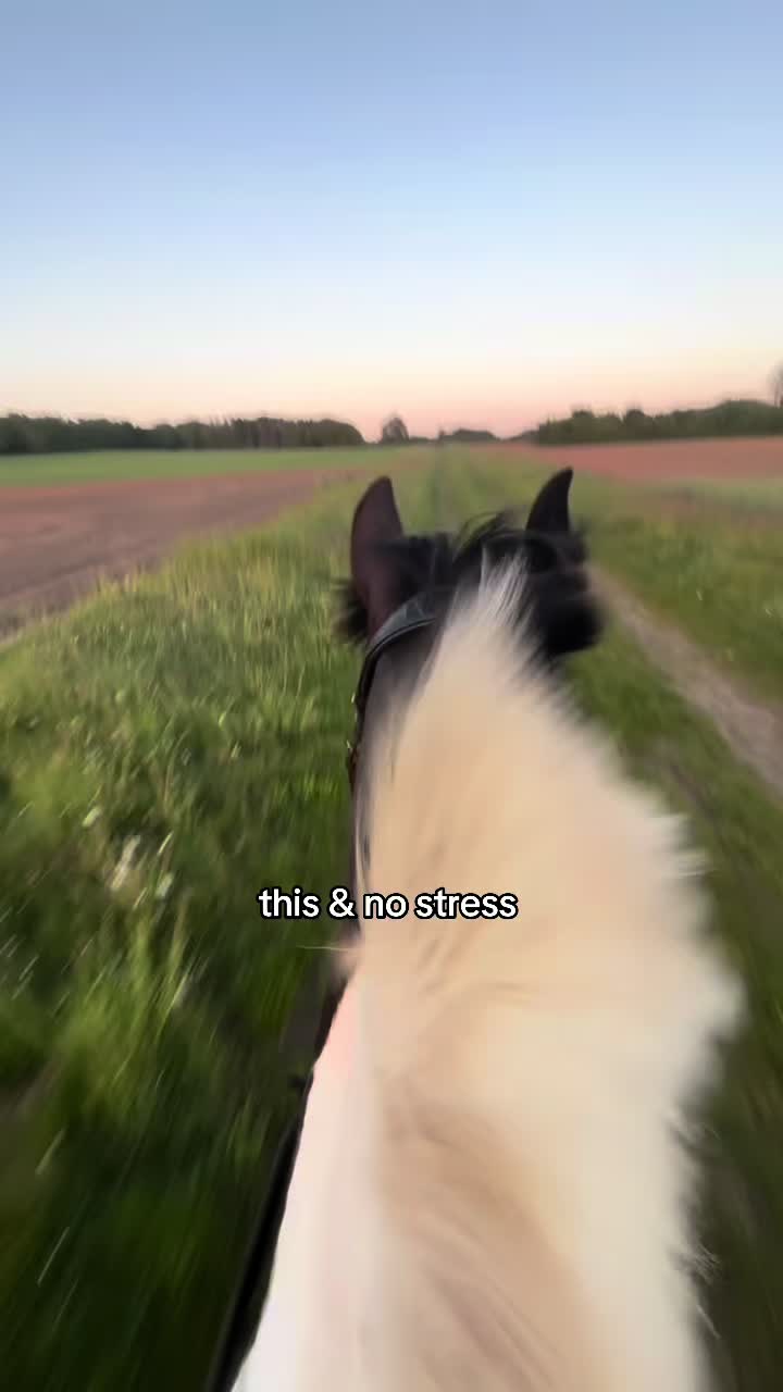 @emily
