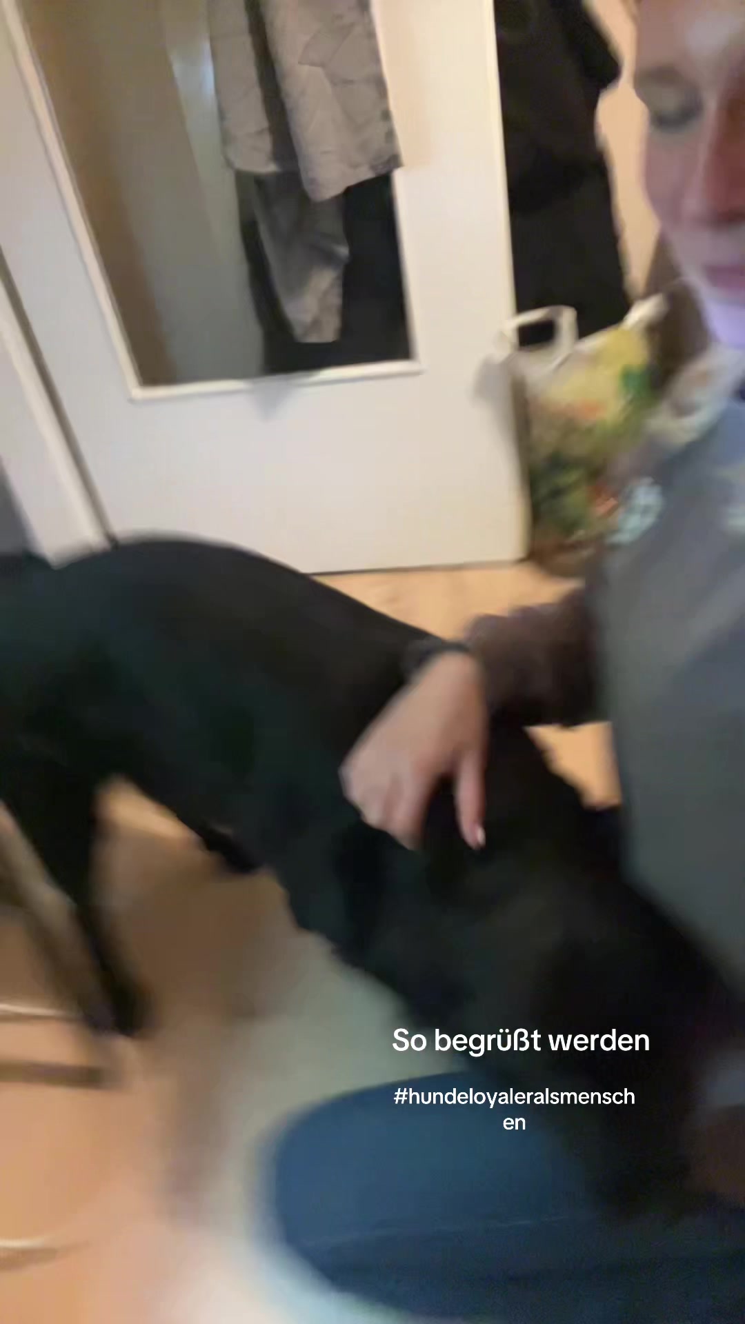 @ari_pdm17