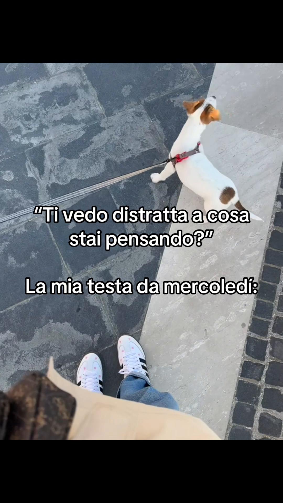 @itsalessiaaaaa