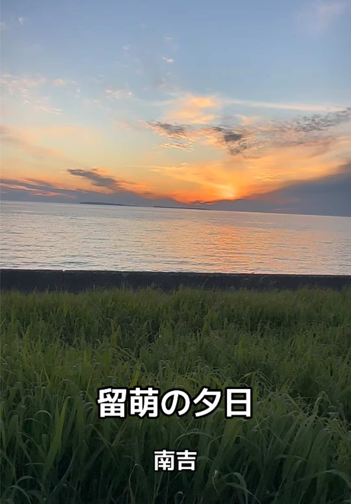 @モミゴンJK(南吉)