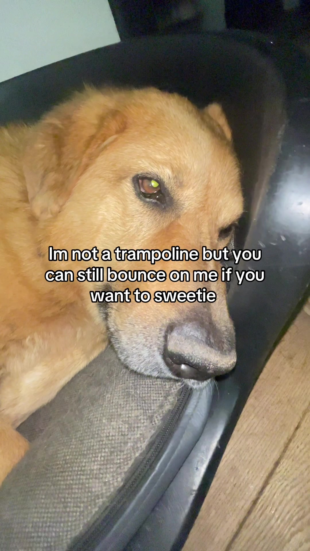 @Neo