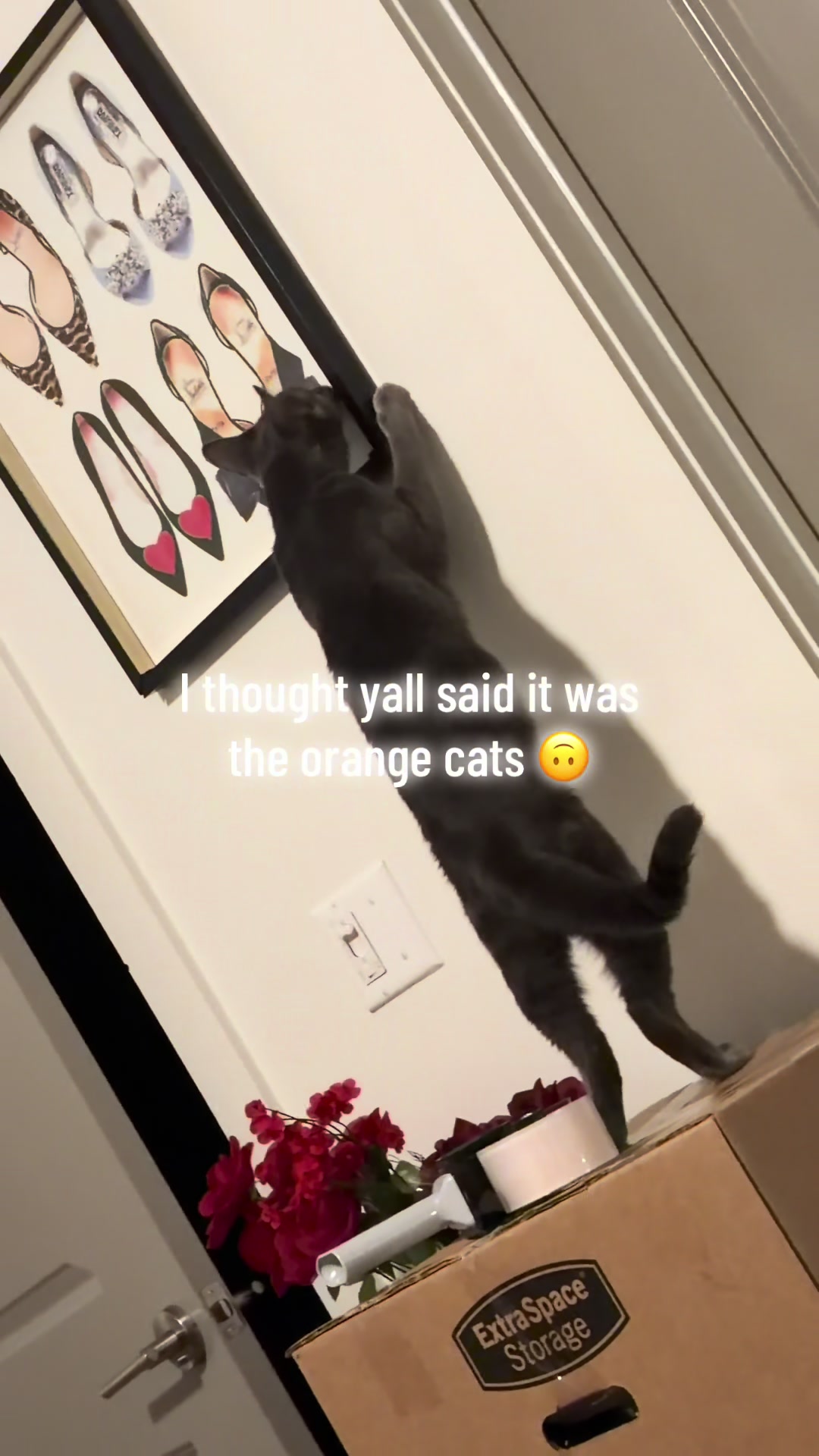 @teenskino