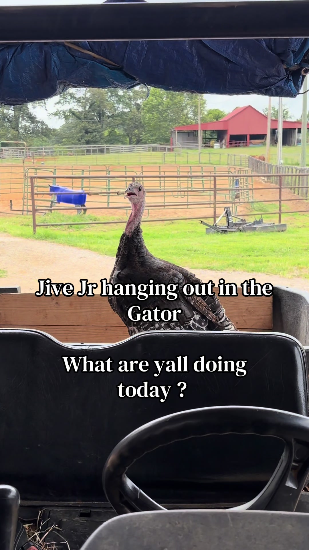 @JT from Tennessee