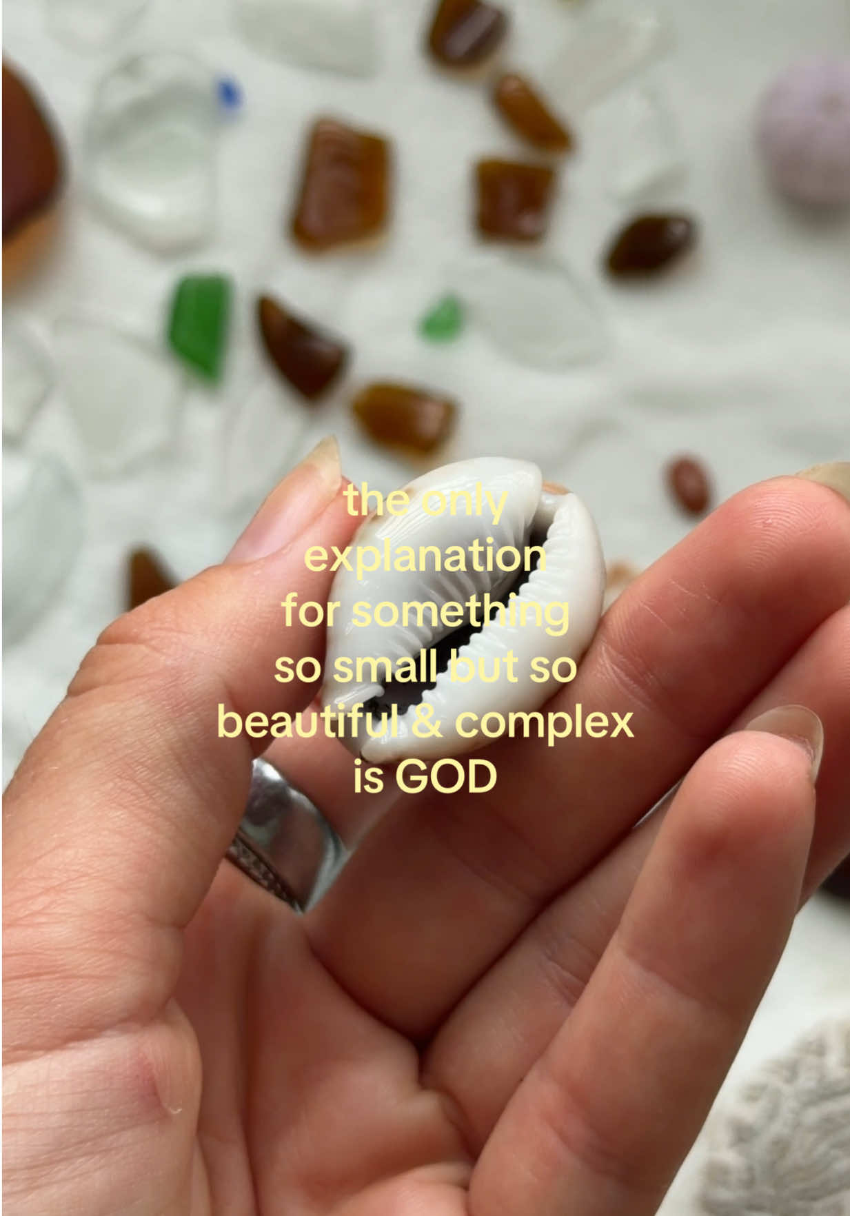@teagan reece
