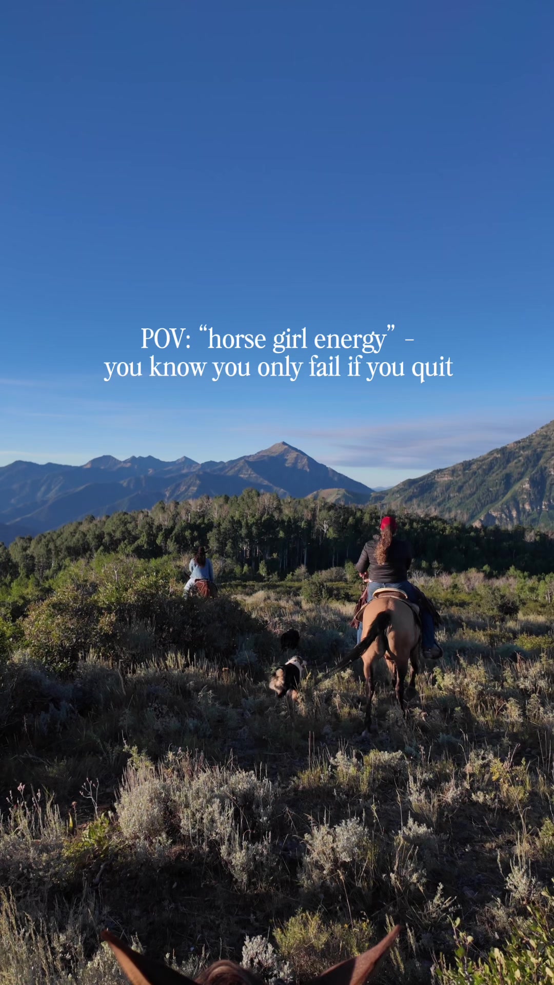 @wild.horsewoman