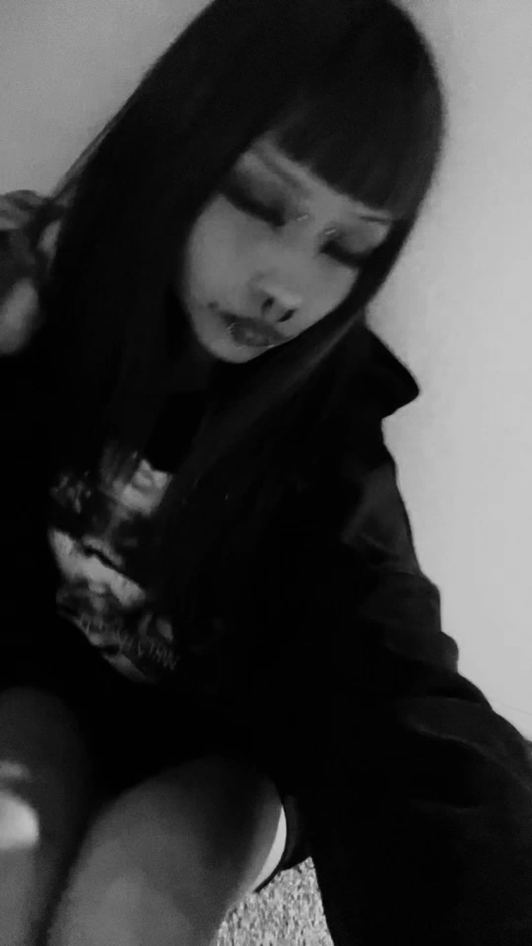 @≽^&bull; ˕ &bull; ྀི≼
