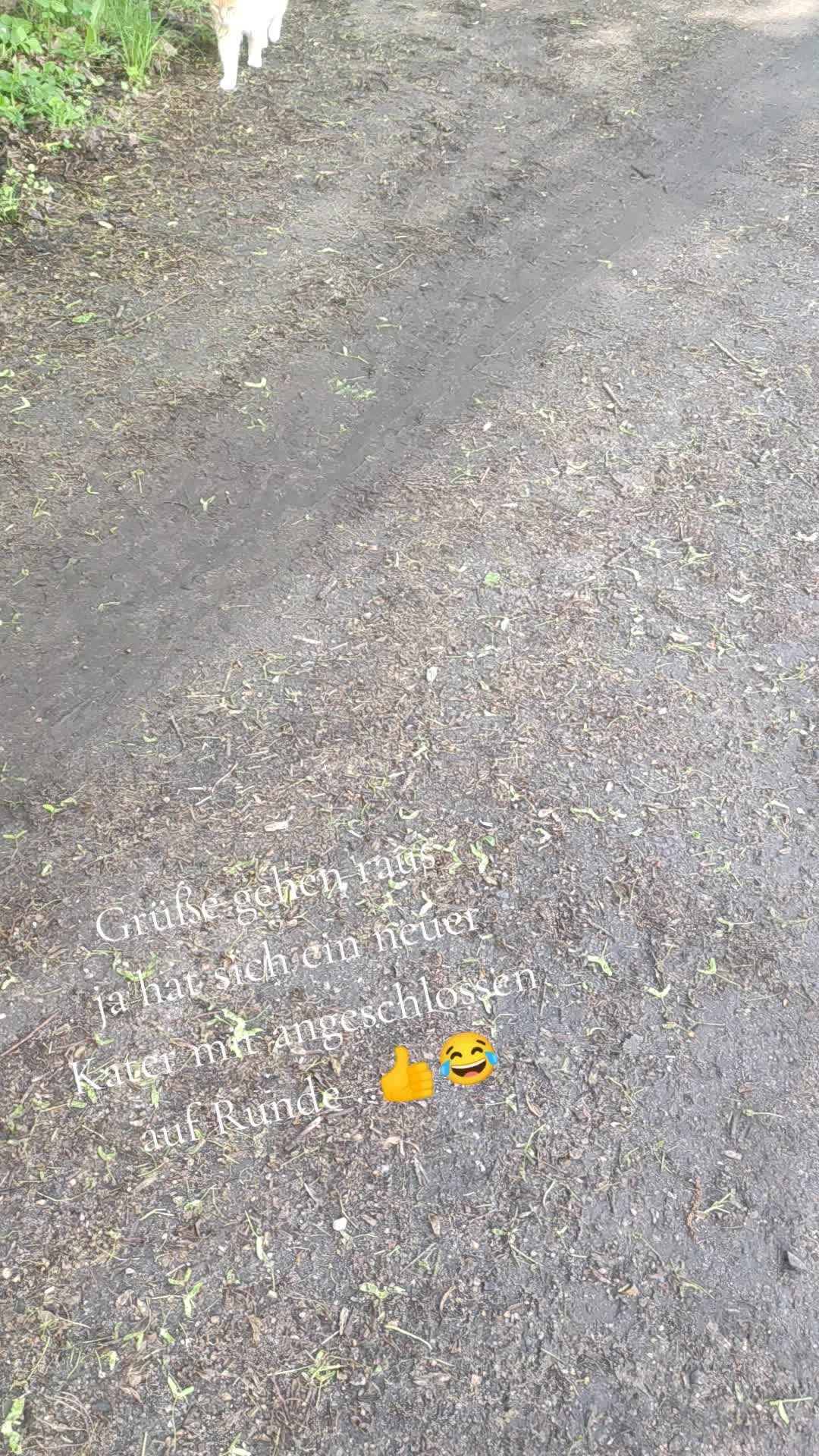 @Zeus