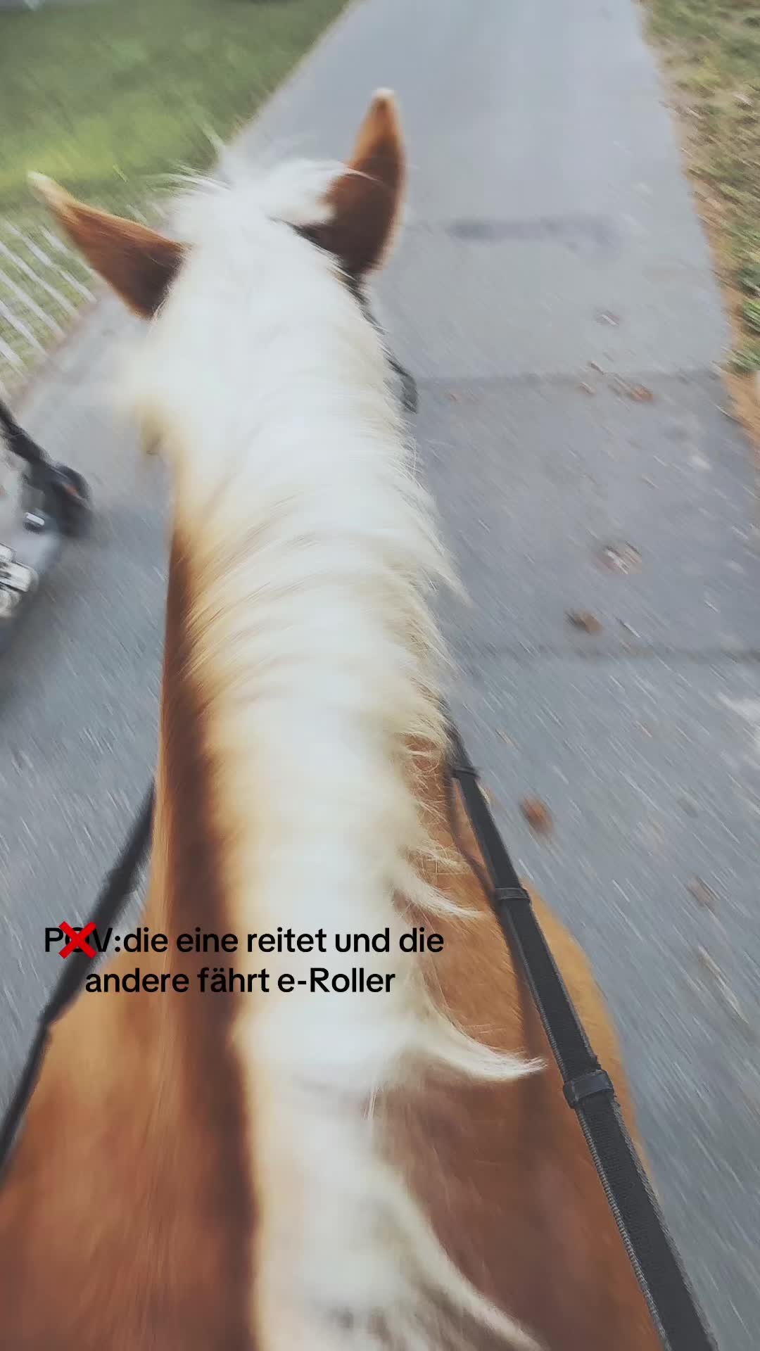 @herzenspferd_lucie❤️🥹