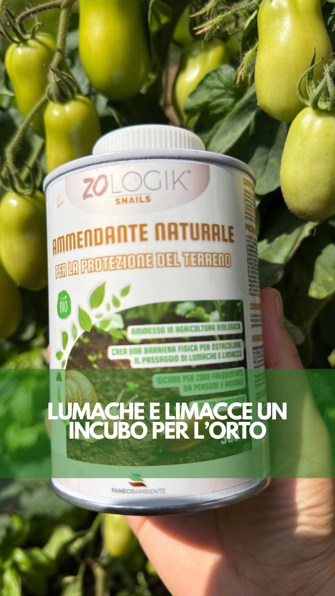 @icookwithnature