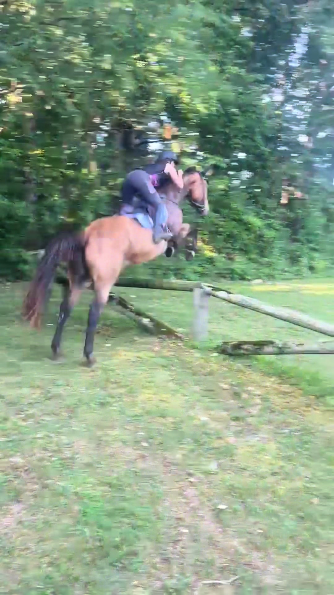 @Aftyn 🐎