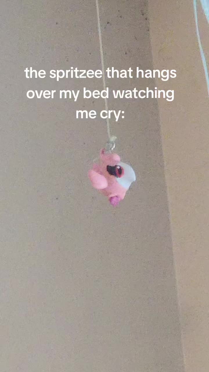 @˚₊‧꒰ა ☆ ໒꒱ ‧₊˚