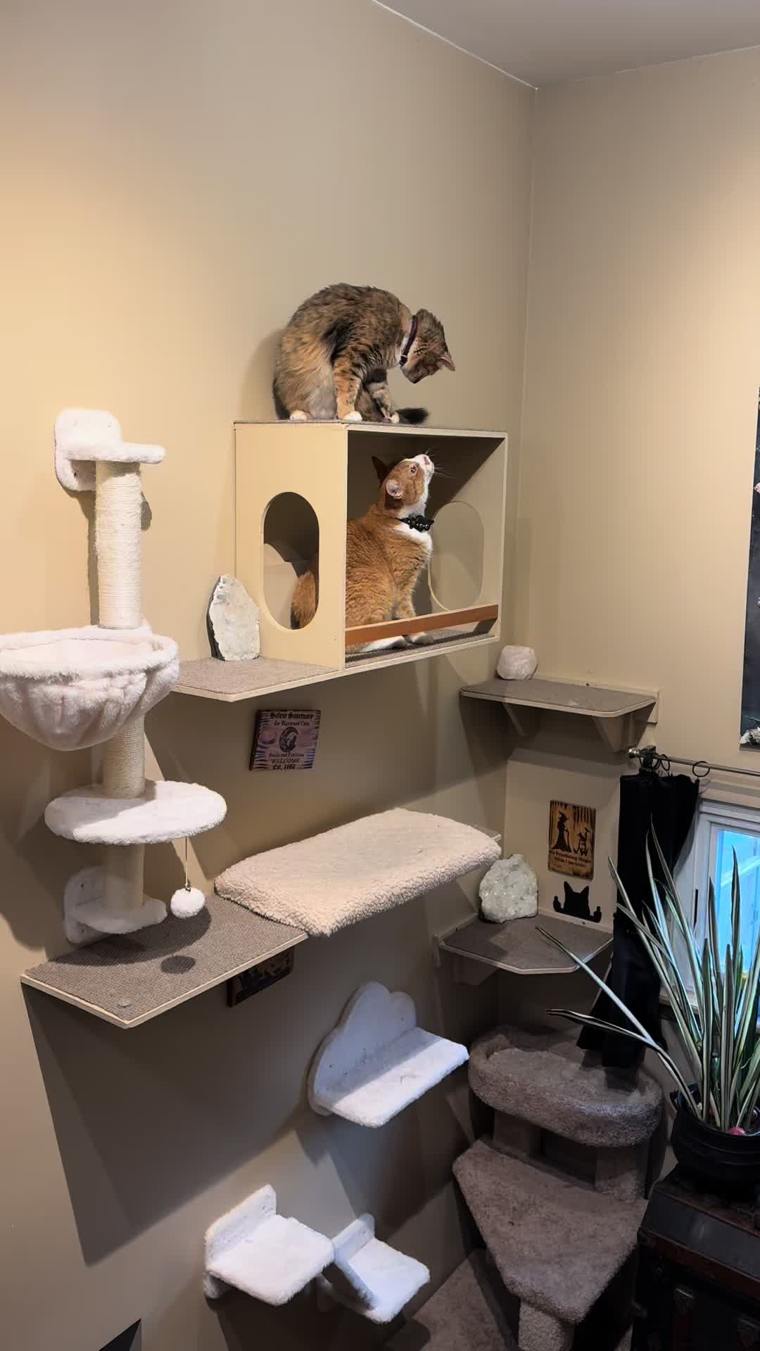 @JuliesSanctuary
