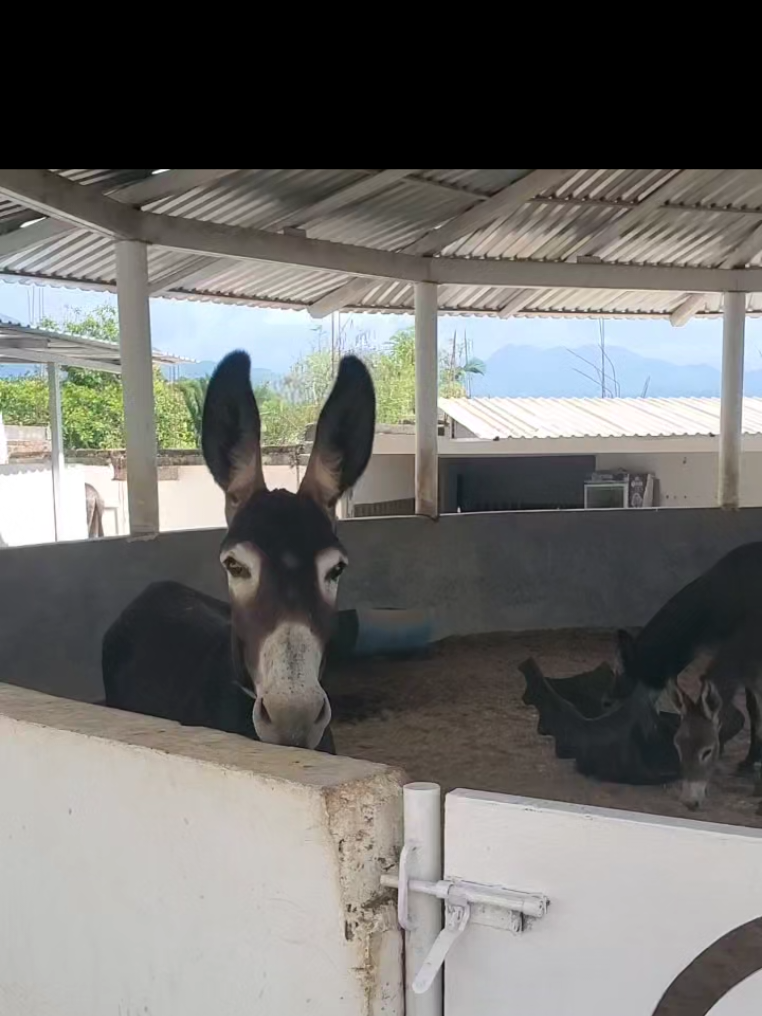 @Elena Myown