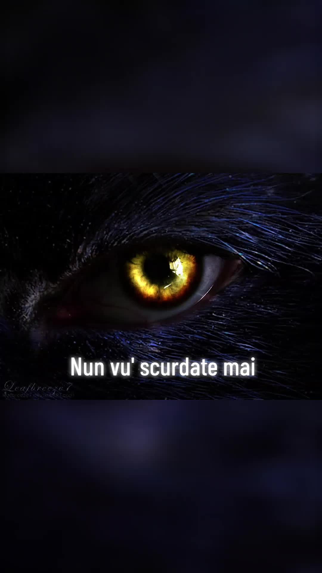 @🌚🐺Siciliana🐺🌚