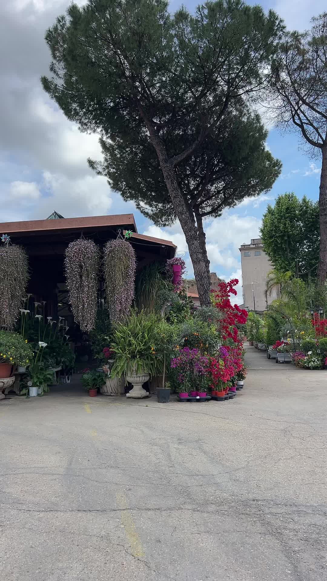 @vivaioanticogarden