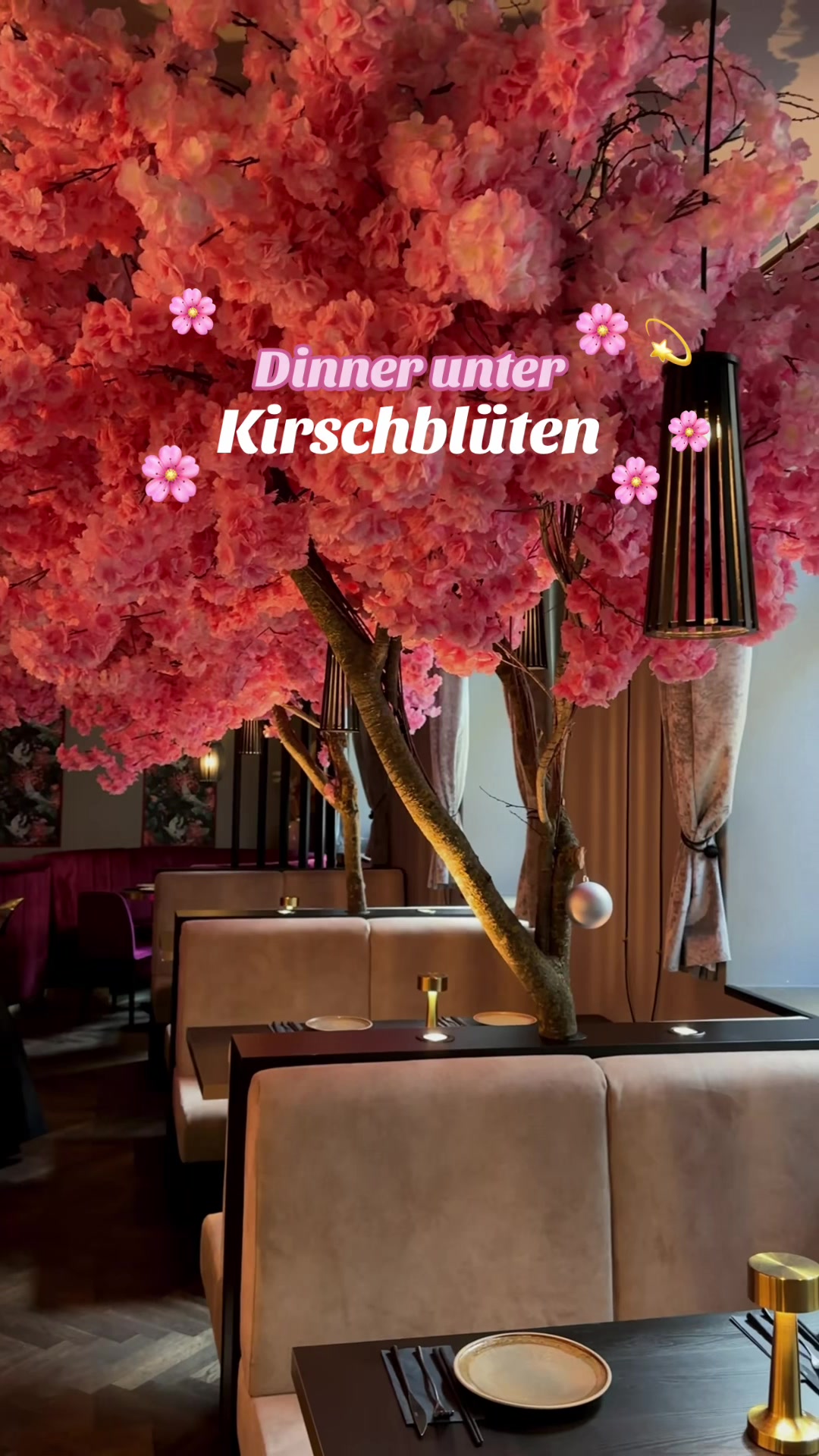 @Lala🧚&zwj;♀️ Reisen & Ausfl&uuml;ge