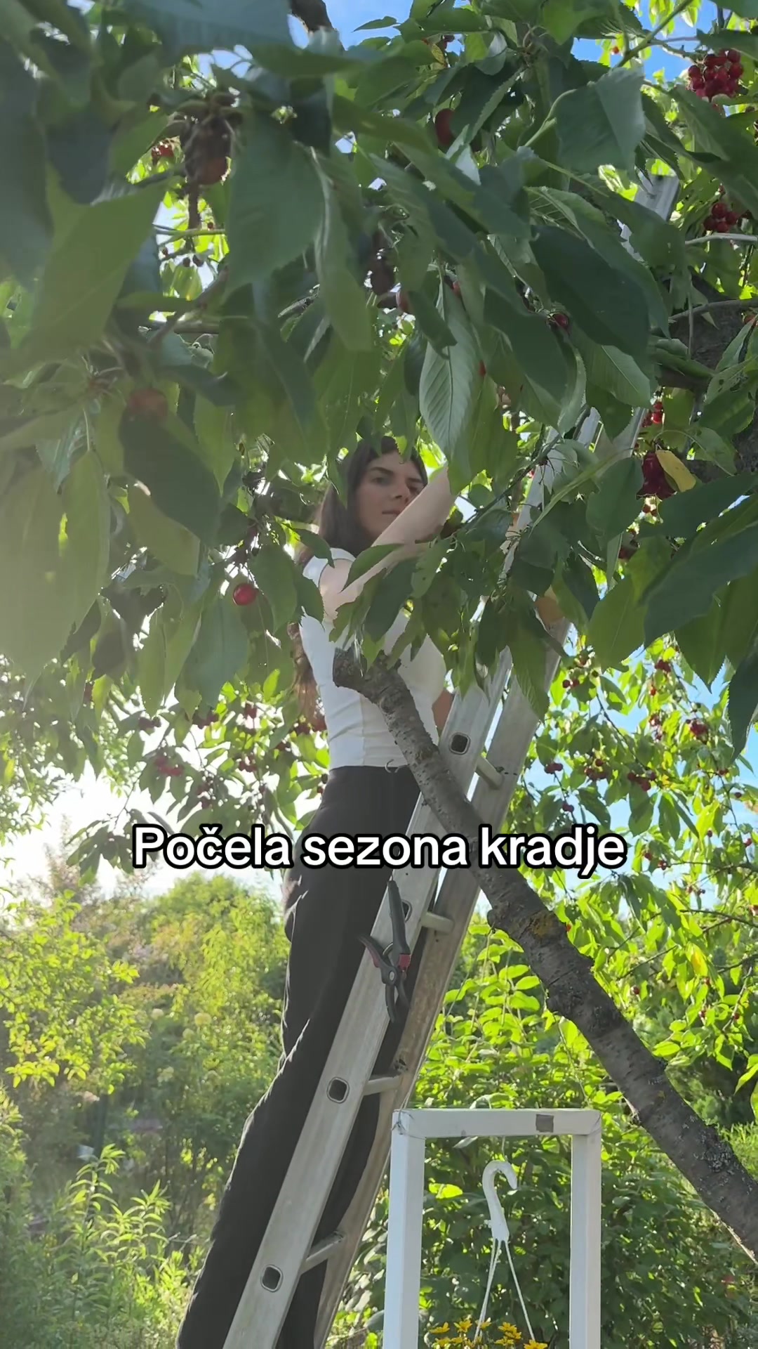 @сандра 🇷🇸