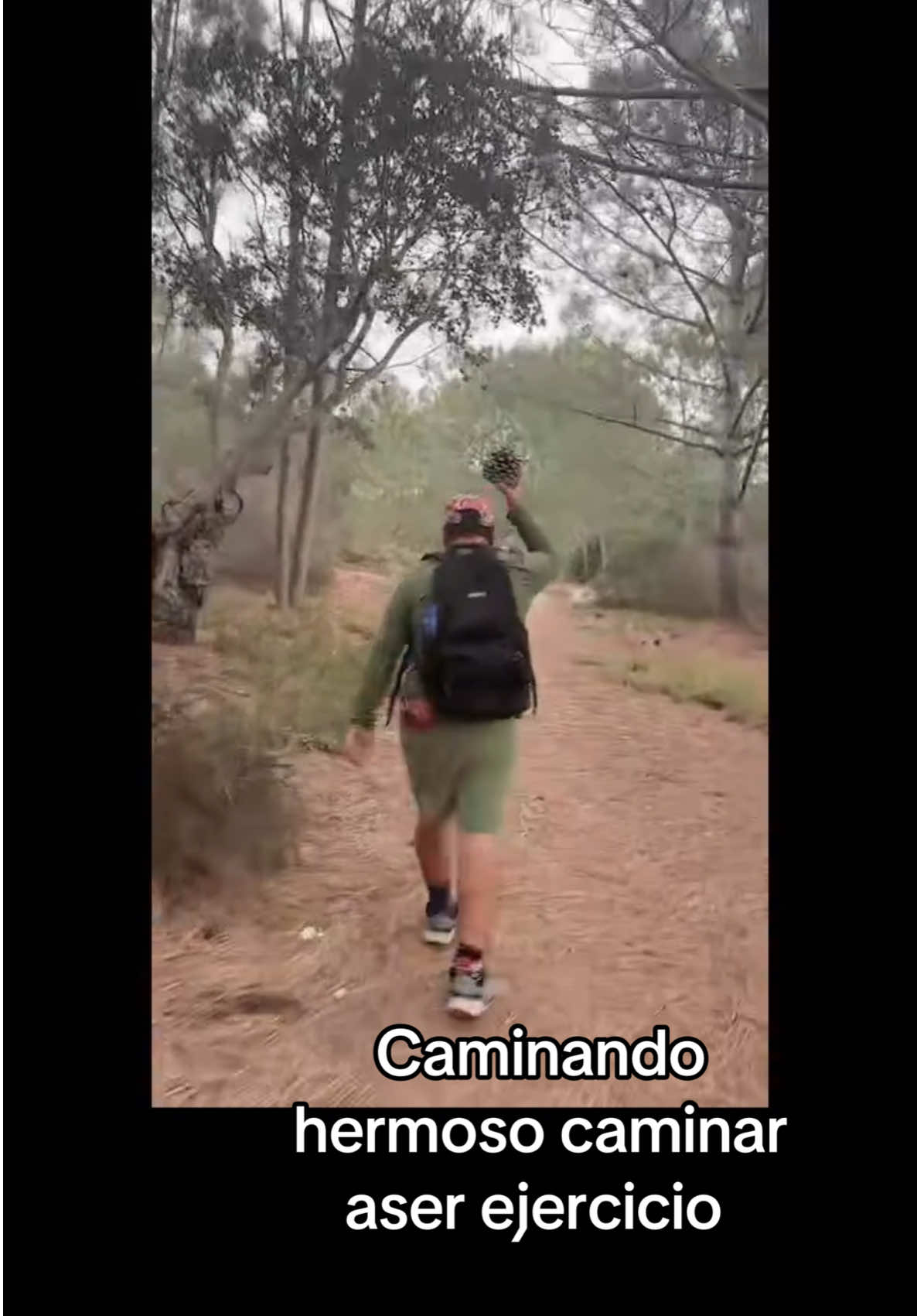 @vickisisepuede