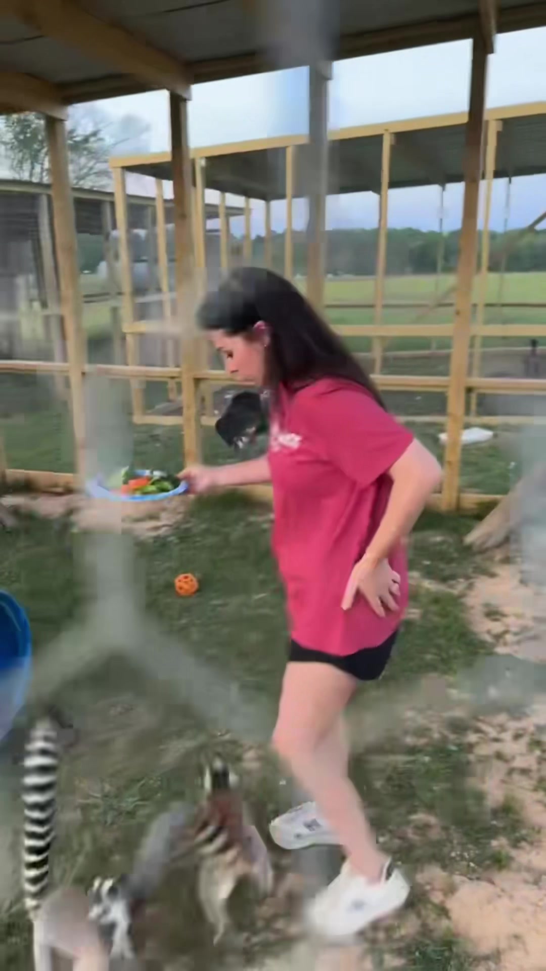 @Wild South Exotics