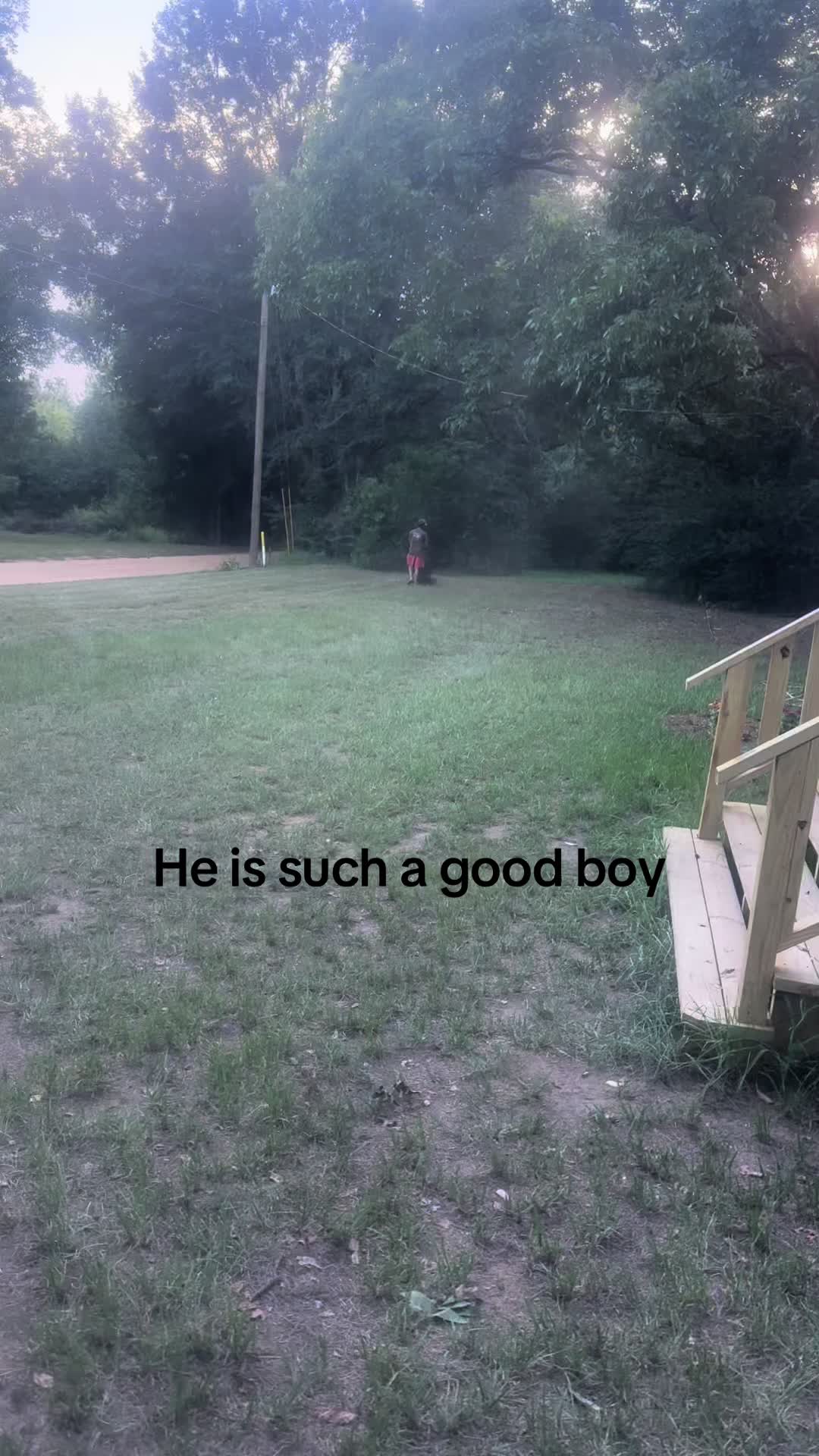 @ZJ04