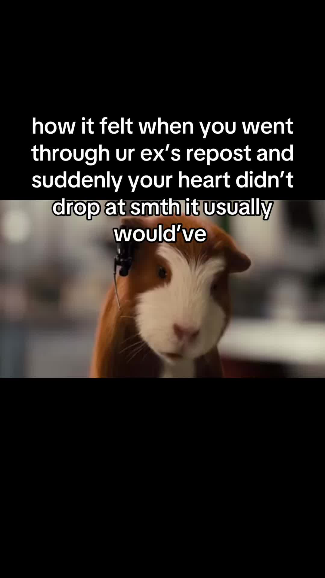 @alex