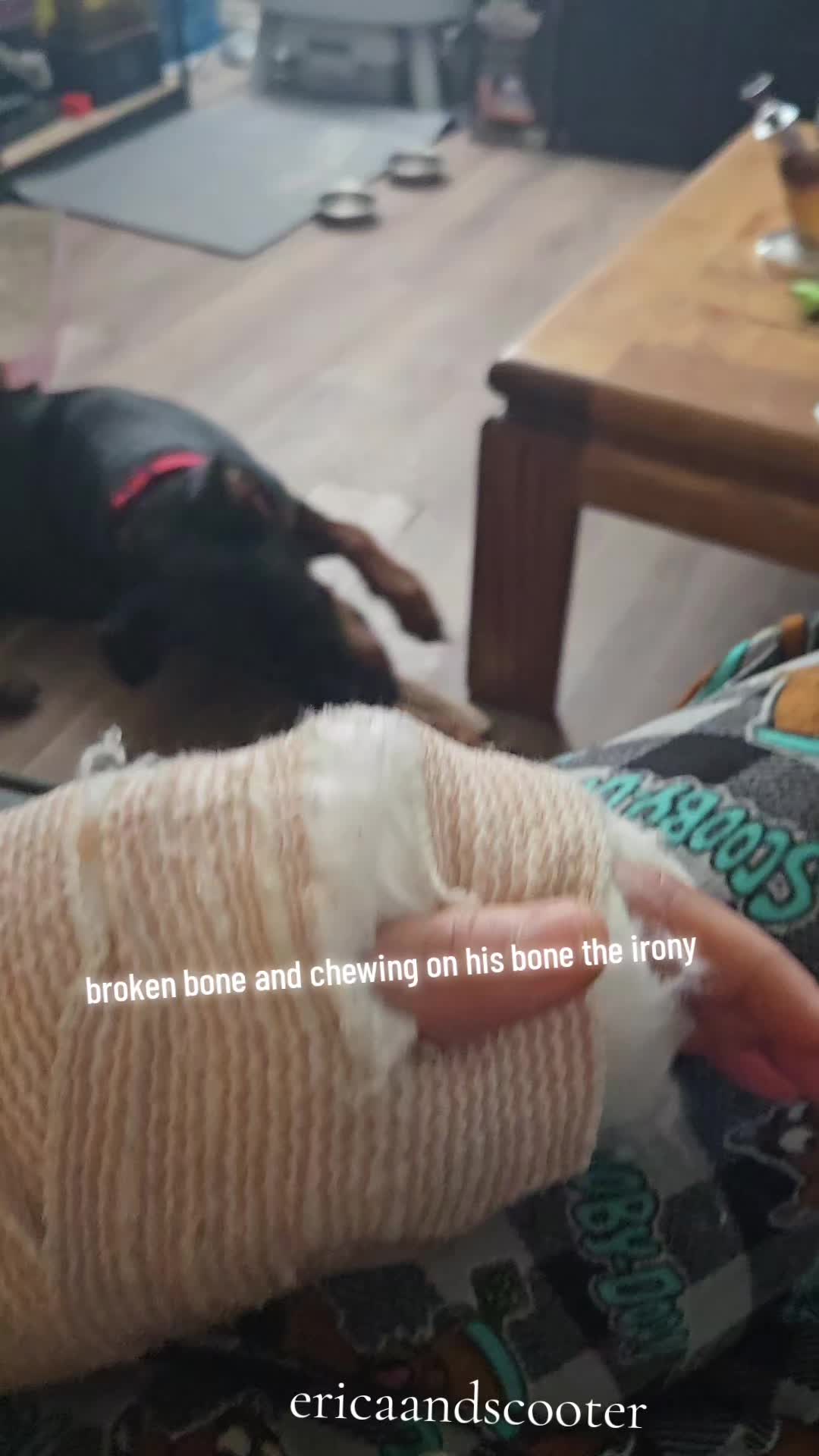 @ericaandscooter