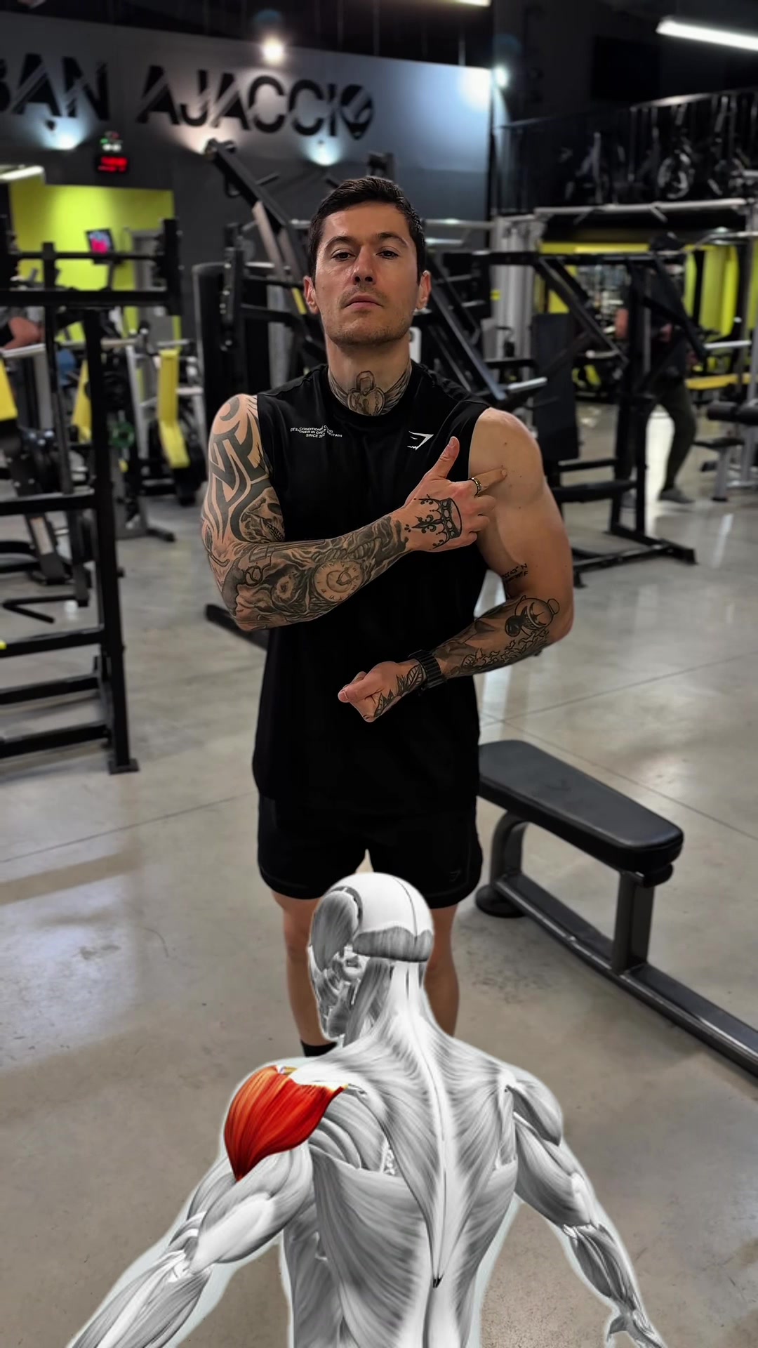 @Nicolas Loi - Personal Trainer